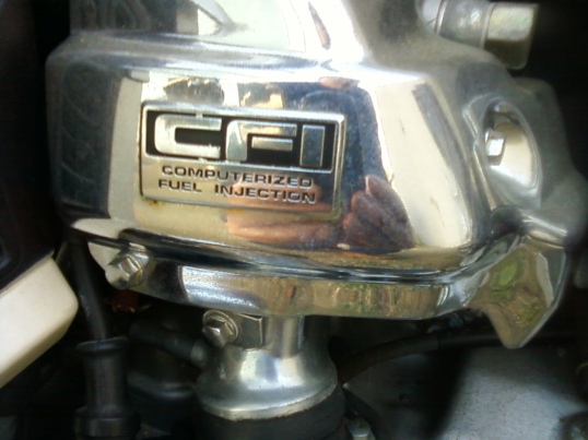 Gold Wing CFI cover