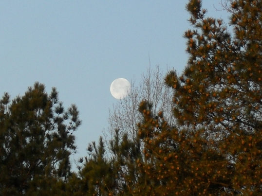 the moon Good Friday 2013