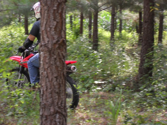 pine tree slalom