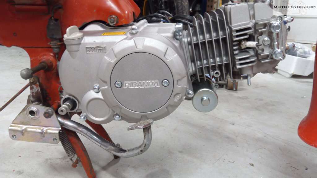 Piranha 140cc engine